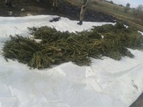 Diyarbakır'da Silah Ve Uyuşturucu Operasyonu