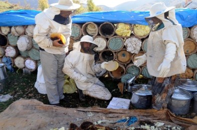 Hizan'da 'Arıcılığı Geliştirme' Projesi