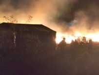 FRANÇOİS HOLLANDE - IŞİD saldırının gerekçesini açıkladı