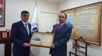 SÜLEYMAN KAHRAMAN - Vali Yardımcısı Ballı'dan Başkan Yalçın'a Ziayret