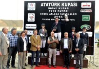 ANDORRA - Tsyd Kupası Sahibini Buldu