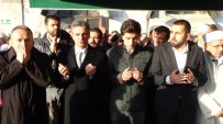 ERTEM ŞENER - Bolu'da Nakşibendi Şeyhi'nin Gelini Toprağa Verildi