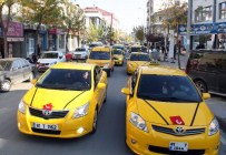 SİYAH KURDELE - Düzce'de Sarı Öfke