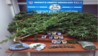 Kocaeli Narkotim'den Uyuşturucu Satıcılarına Darbe
