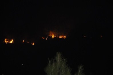 Manavgat'ta Orman Yangını