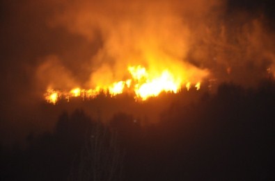 Ormanlık Alan Alev Alev Yandı