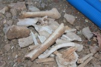 TAKSIM MEYDANı - Taksim Yayalaştırma Projesindeki Kazı Çalışmalarında Kemik Bulundu