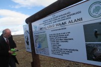 ÇıLDıR GÖLÜ - Göl Kenarlarına Bilgilendirme Tabelaları Asıldı