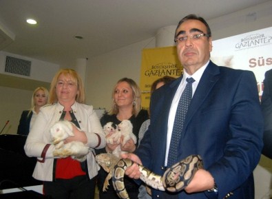 Hayvanların Katıldığı Konferans Renkli Görüntülere Sahne Oldu