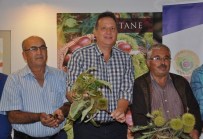 BOLIVYA - Kestane Üretimi Artırılmalı