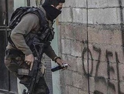 Silvan'daki duvar yazılarına inceleme