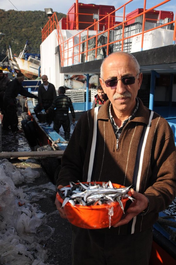 Bir gecede 200 ton hamsi avladı