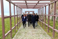 BEKIR KAYA - Eş Başkanlar Park Ve Yeşil Alanları Gezdi