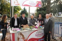 LALE FESTİVALİ - Kocaeli'yi Renklendirecek 15 Bin Lalenin Satışı Başladı