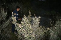 Ormana Atılan İşaret Fişeği Yangın Çıkardı