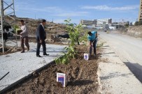 BILGE KAĞAN - Toroslar Yeni Bir Park Daha Kazanıyor
