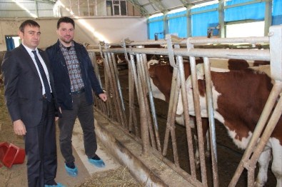 Trabzon Kendi Tereyağını Üretmek İçin Artık Dışarıdan Süt Almayacak