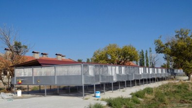 Türkiye'nin En Büyük Keklik Üretme Merkezi