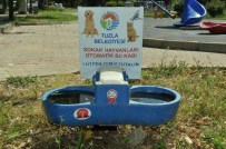 TUZLA BELEDİYESİ - Tuzla'da Sokak Hayvanları Koruma Altında