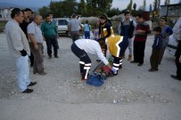 SAKLıKENT - Bu Defa Yaya Arabaya Çarptı