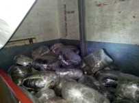 DEDEKTÖR KÖPEK - Ev Eşyası Arasında 308 Kilo Esrar Sevkiyatı