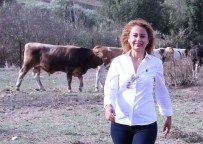 BİYOGAZ - EXPO 2. Canlı Hayvan Fuarı, Kuşadası'nda Başlıyor