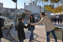 25 Kasım Kadına Yönelik Şiddete Karşı Uluslararası Dayanışma Ve Mücadele Günü