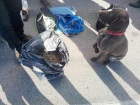 Uyuşturucu Sevkiyatı 'Vicdan'a Takıldı