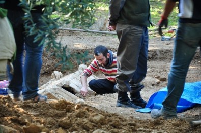 Zeytinlikte Bulunan Tarihi Lahdin 25 Yıl Önce Defineciler Tarafından Açıldığı Ortaya Çıktı