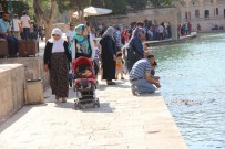 YERLİ TURİST - İstikrar Ortamının Terörden Etkilenen Turizmi Canlandırması Bekleniyor