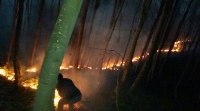 Korgan'da Çıkan Orman Yangını Korkuttu