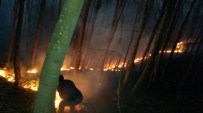 Korgan'da Çıkan Orman Yangını Korkuttu