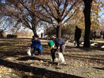 Meclis'te 4. 'Palamut Toplama Şenliği'