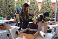 ALIBEYKÖY - Mimar Adayları, Hayallerindeki Bahçe İçin Yarıştı