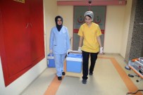 KAYAHAN - Yaşlı Adamın Organları 3 Kişiye Hayat Verecek