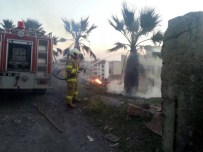 PALMİYE AĞACI - Edremit'te Palmiye Yangını