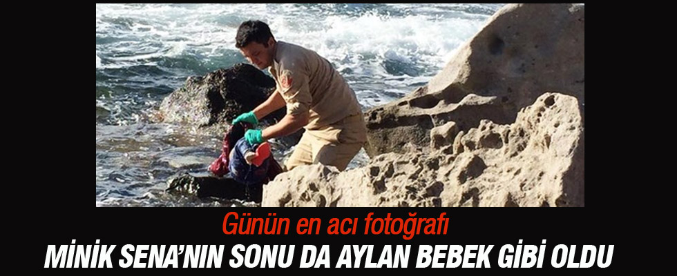Günün En Acı Fotoğrafı Bodrum'dan