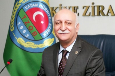 Muz Üretimi Yeni Bir Rekora Koşuyor