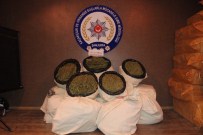 Şanlıurfa'da 156 Kilo Esrar Ele Geçirildi