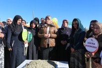 25 Kasım Uluslararası Kadına Yönelik Şiddetle Mücadele Günü