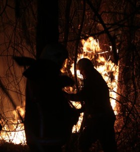 Beykoz'da Ormanlık Alandaki Yangın