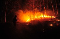 Bursa'da Orman Yangını Lodos Etkisiyle Kontrol Altına Alınamıyor