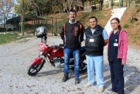 SOKAK KÖPEĞİ - Dizilerin Karakter Oyuncusu İydigül'den Terk Edilen Köpekler Tepkisi