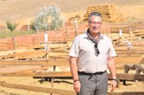 Dünya Keçicilik Kongresi Türkiye'de Yapılacak