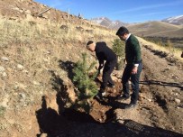 Ertansa İşletmesine 5 Bin Fidan