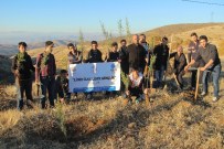 ANADOLU GENÇLIK DERNEĞI - Gençler Harput'a Fidan Dikti