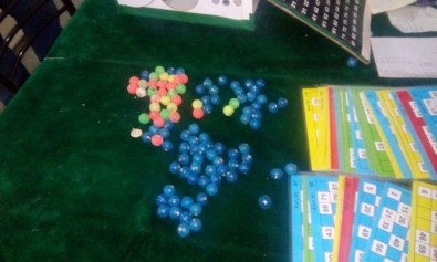 'Kanatlı Hayvanseverler Derneği'ne Kumar Baskını