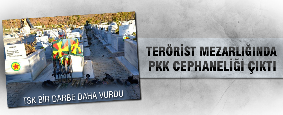 Lice'de PKK'ya ağır darbe