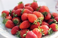 'Vali Hanım' Çileği Daha Tarladayken Satıldı