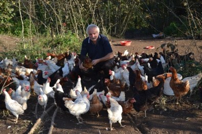 Vali Olamadı Çiftçi Oldu